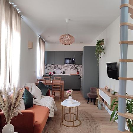 קלרמונט-פרנד Maison Cosy Terrasse Ensoleille מראה חיצוני תמונה