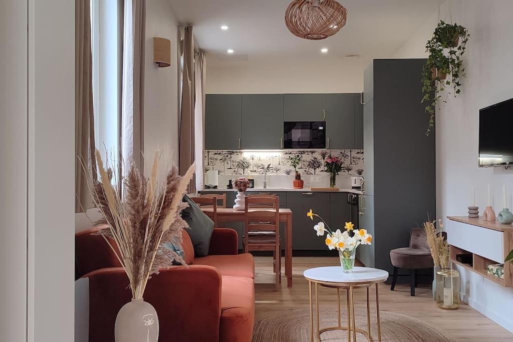קלרמונט-פרנד Maison Cosy Terrasse Ensoleille מראה חיצוני תמונה